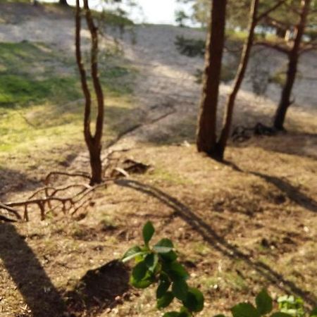 Natur-Freude-16 Kotzen Exteriör bild